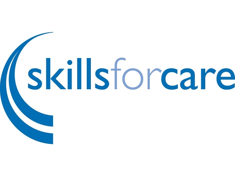 Skills For Care Lagom Strategy